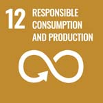 SDG 12 icon